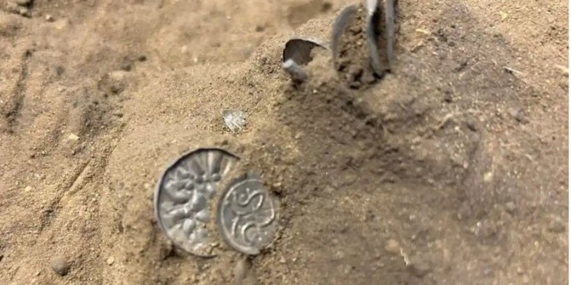 На кукурудзяному полі. У Данії знайшли монети вікінгів віком тисячу років