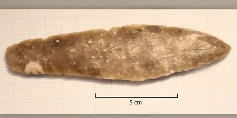 У Норвегії восьмирічна дівчинка знайшла крем’яний кинджал кам’яного віку